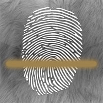 Animal Detector logo