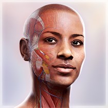 Complete Anatomy logo