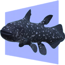 Desktop Coelacanth logo