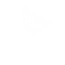 Djembe logo