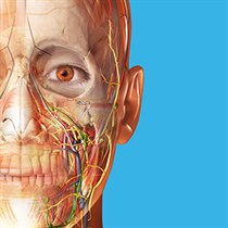 Human anatomy Atlas logo