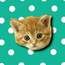 Musical Kittens logo