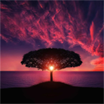 Quick Calming Meditations pack 3 logo