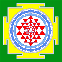Shri Jyoti Star 10 logo