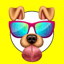 Snappy Face Photo Filters logo