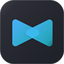 Video Compressor + logo