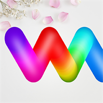 Wall 11 -  4k Wallpapers for Desktop logo