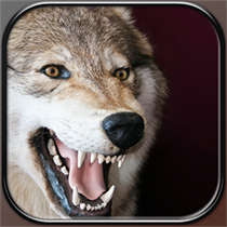 Wolf sounds logo