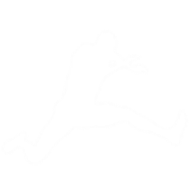 video Detail Player logo