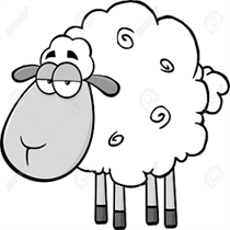 world of wool logo